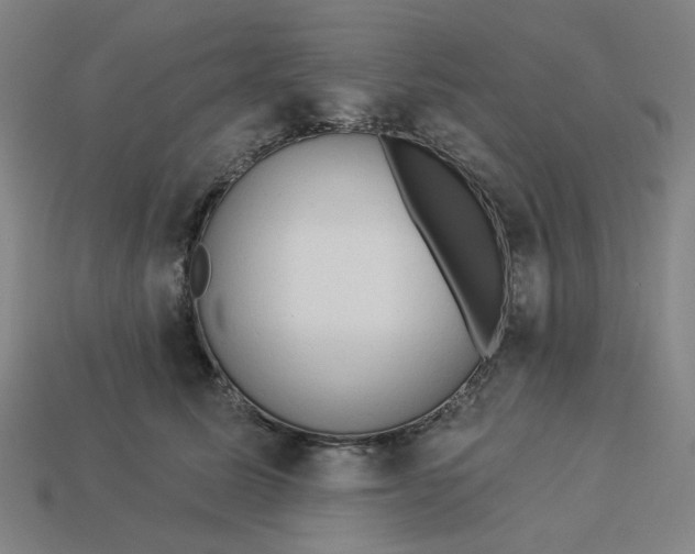 X0000113340611200910060959