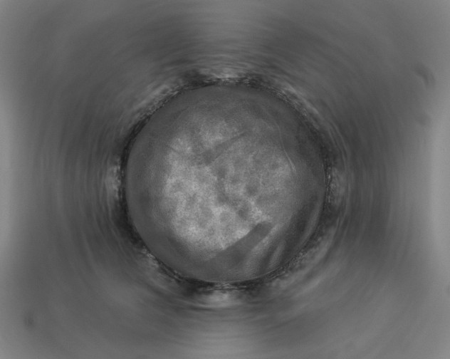 X0000113340612200910060959