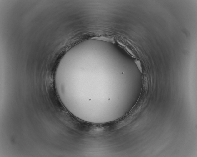 X0000113340613200910060959