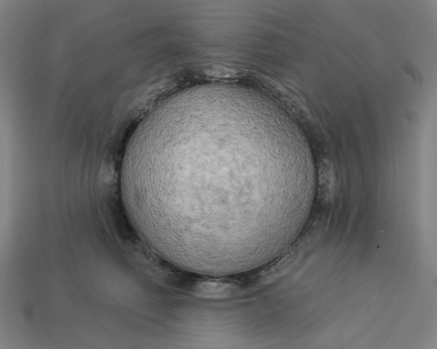 X0000113340614200910060959