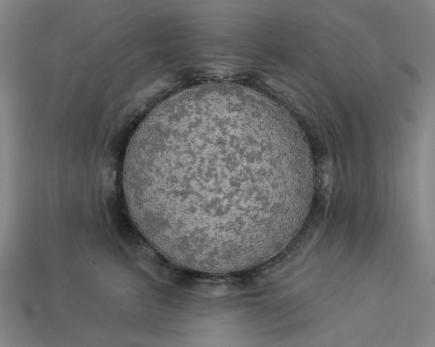 X0000113340615200910060959