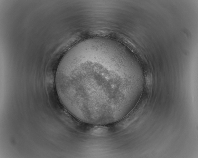 X0000113340617200910060959