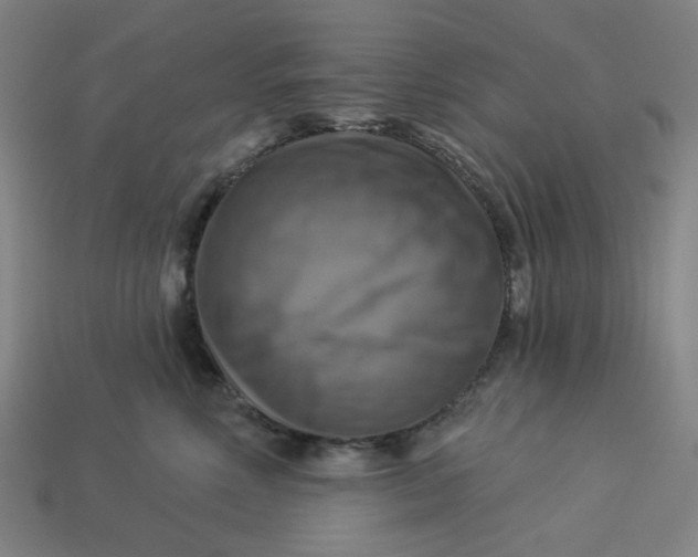 X0000113340618200910060959