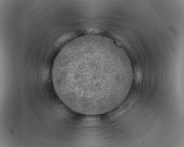 X0000113340619200910060959