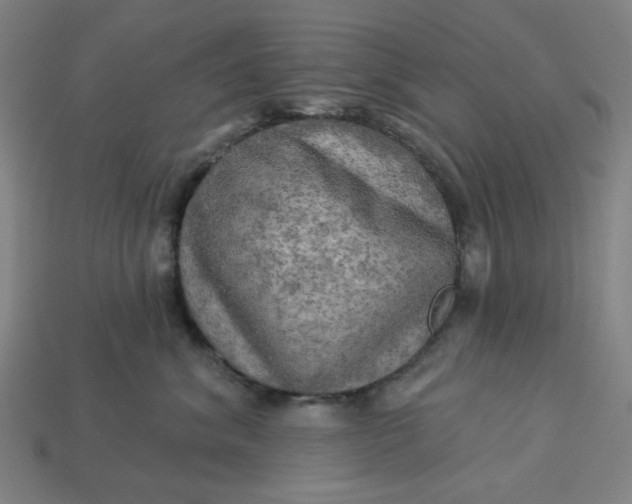 X0000113340620200910060959