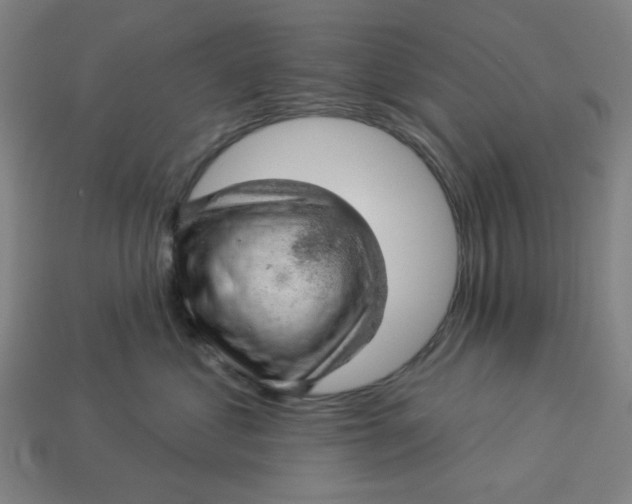 X0000113340621200910060959