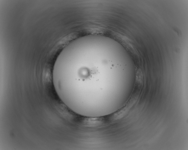 X0000113340622200910060959