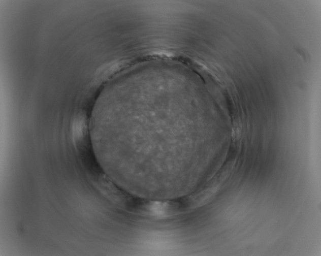 X0000113340623200910060959