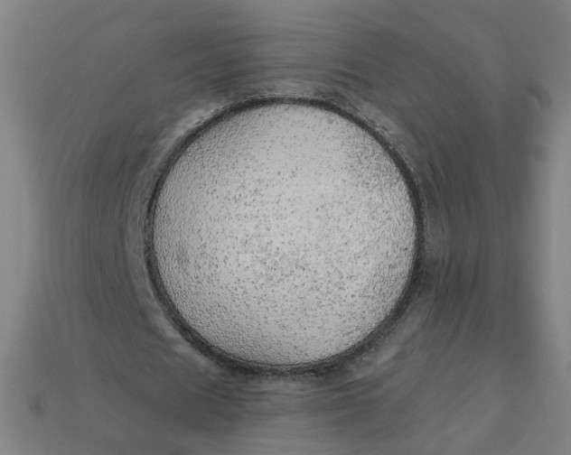 X0000113340625200910060958