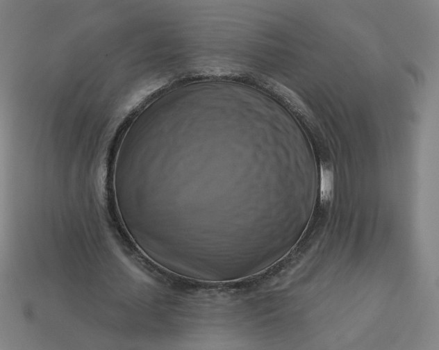 X0000113340627200910060958