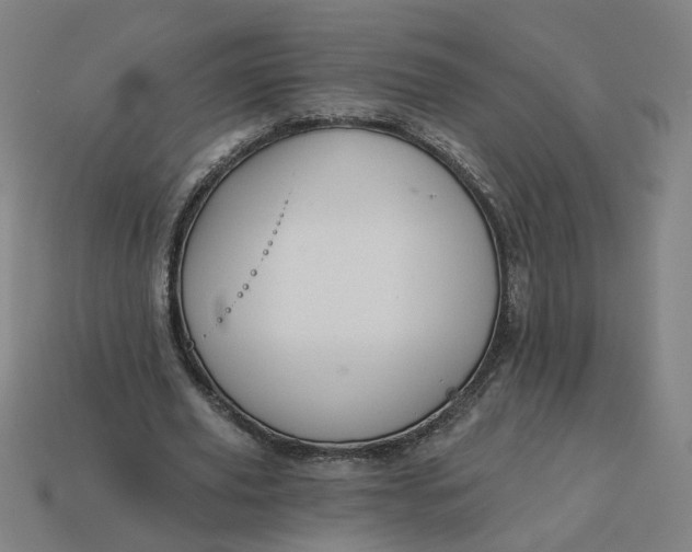 X0000113340629200910060958