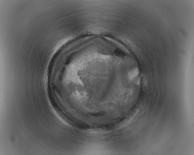 X0000113340630200910060958