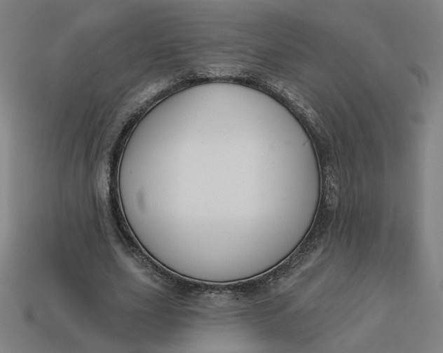 X0000113340631200910060958