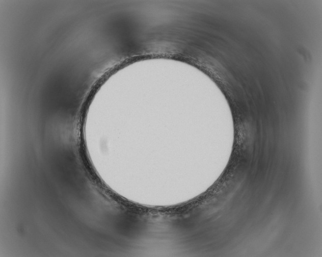 X0000113340632200910060958