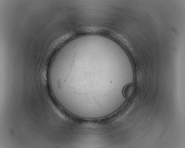 X0000113340633200910060958