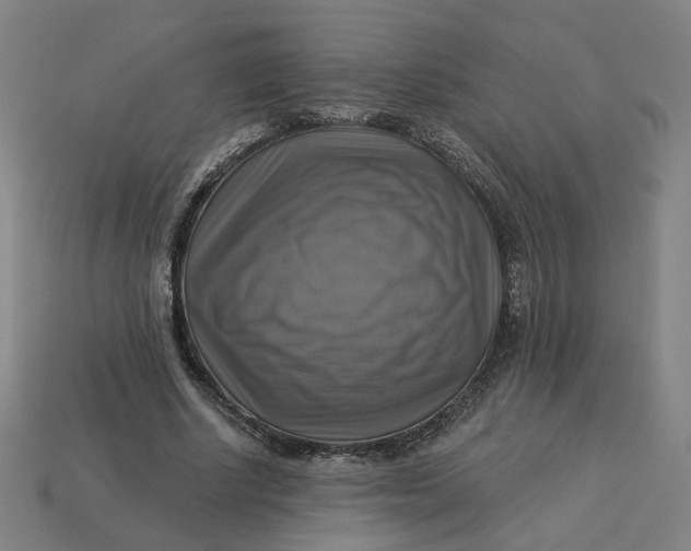 X0000113340634200910060958