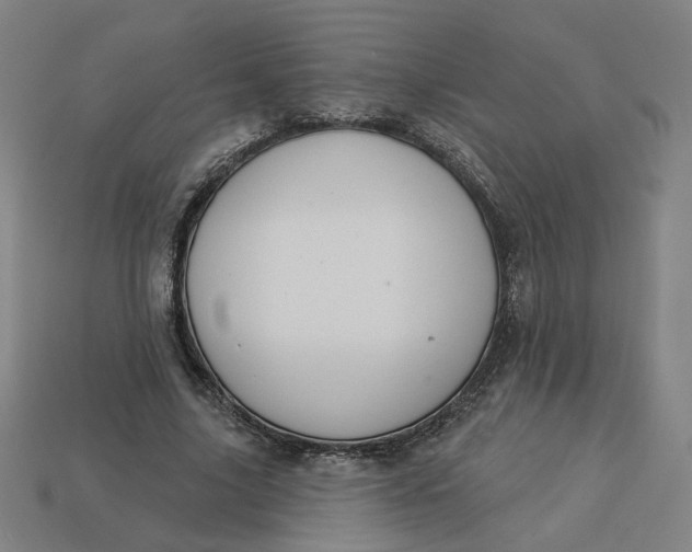 X0000113340635200910060958