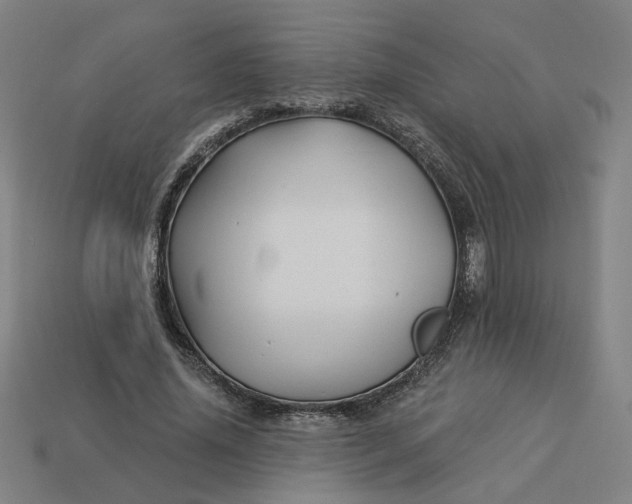 X0000113340636200910060958