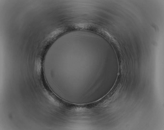 X0000113340637200910060958