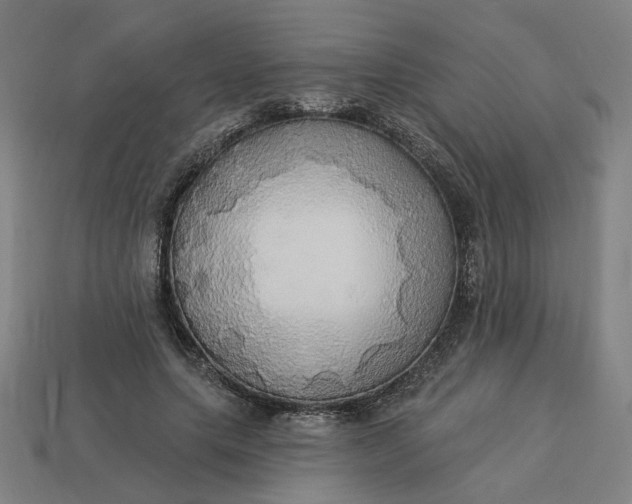 X0000113340639200910060958