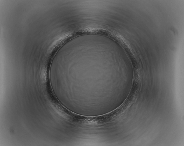 X0000113340640200910060958