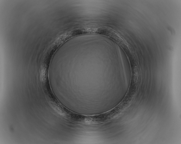 X0000113340641200910060958