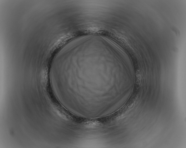 X0000113340642200910060958