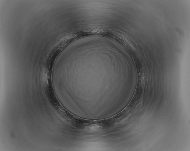 X0000113340643200910060959