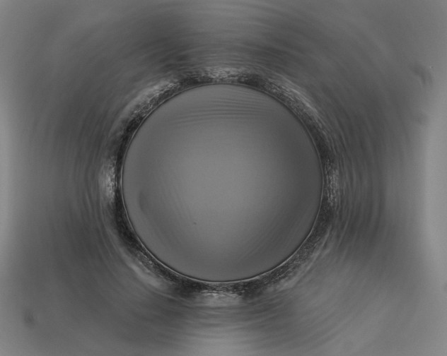 X0000113340644200910060959