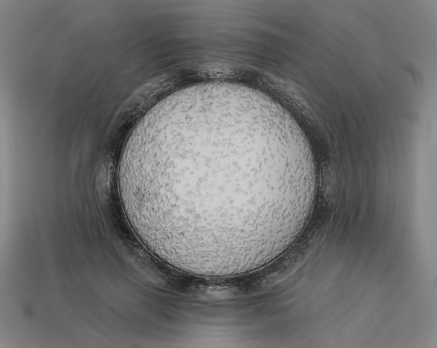 X0000113340645200910060959