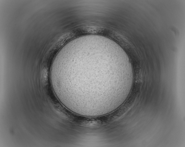 X0000113340646200910060959