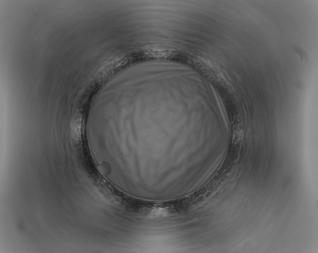 X0000113340647200910060959