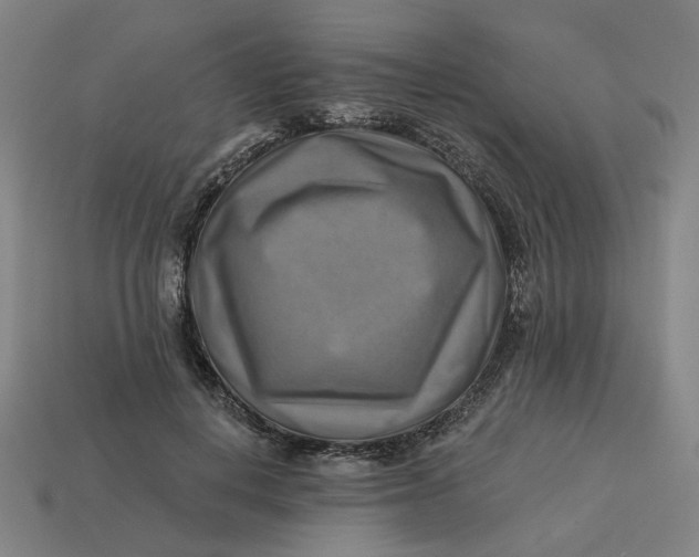 X0000113340648200910060959