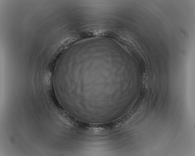 X0000113340650200910060959