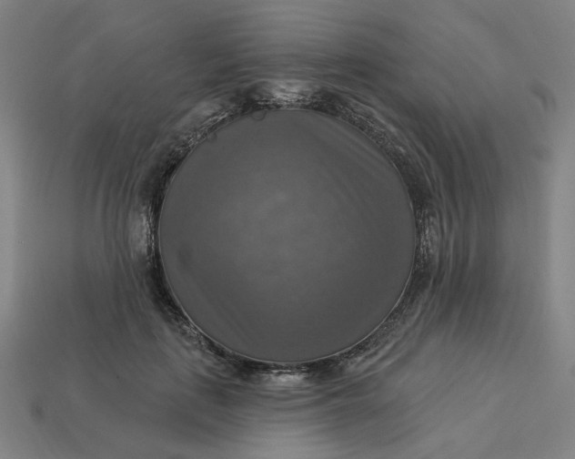 X0000113340651200910060959