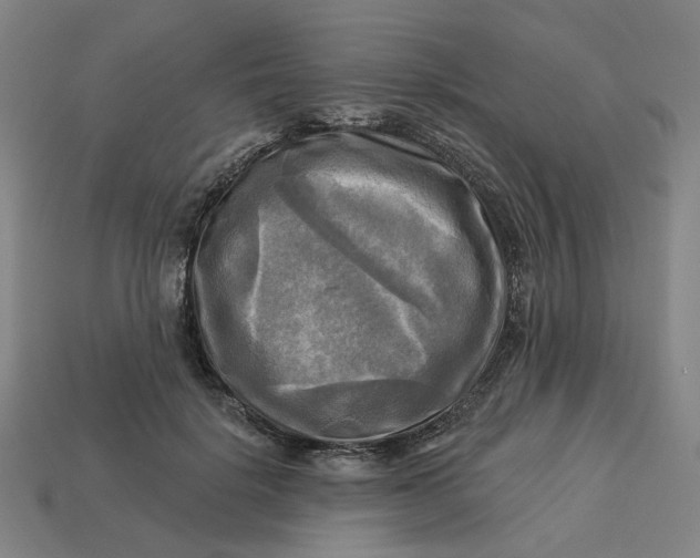 X0000113340652200910060959