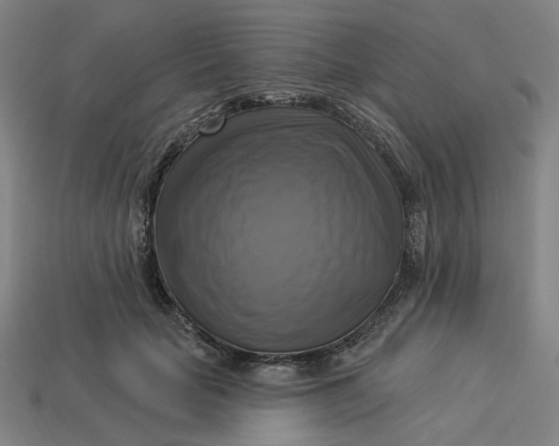 X0000113340653200910060959