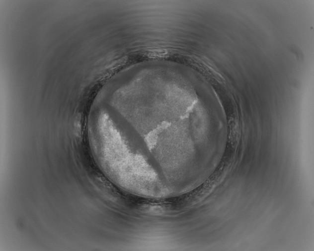 X0000113340655200910060959