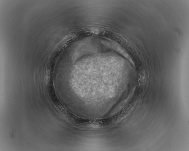 X0000113340656200910060959