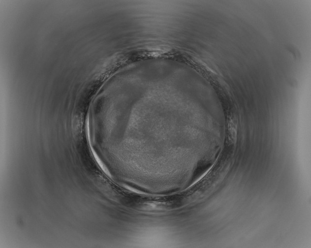 X0000113340657200910060959