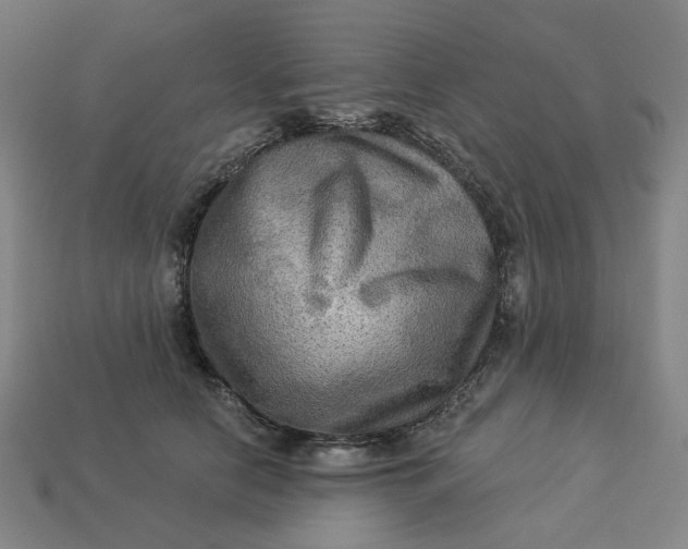 X0000113340658200910060959