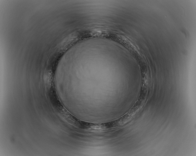 X0000113340659200910060959