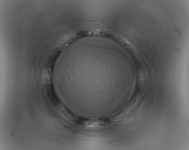 X0000113340661200910060959