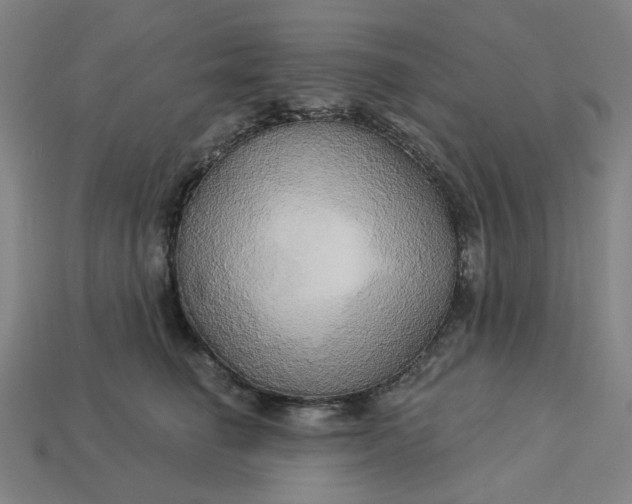 X0000113340662200910060959