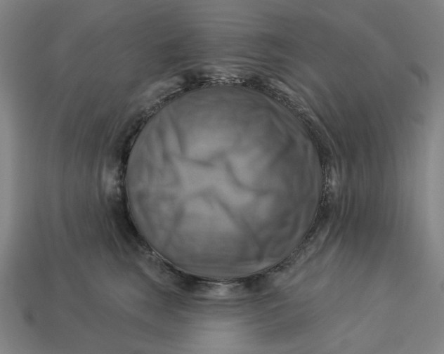 X0000113340663200910060959