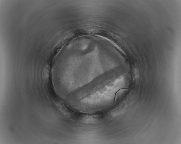 X0000113340664200910060959