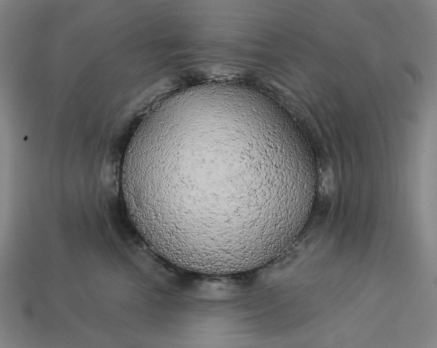 X0000113340666200910060959