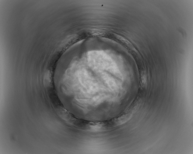 X0000113340667200910060959