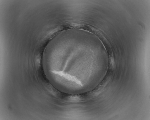 X0000113340668200910060959