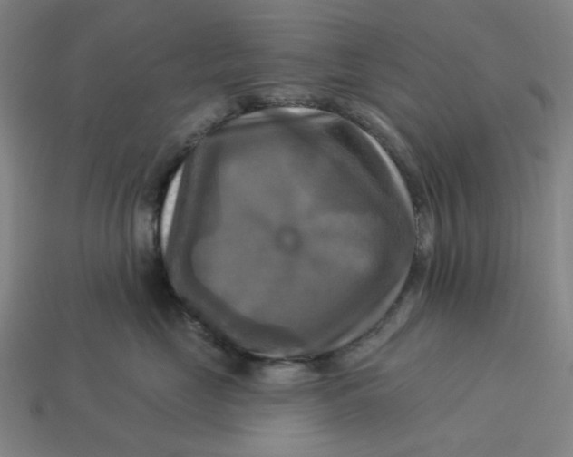 X0000113340669200910060959